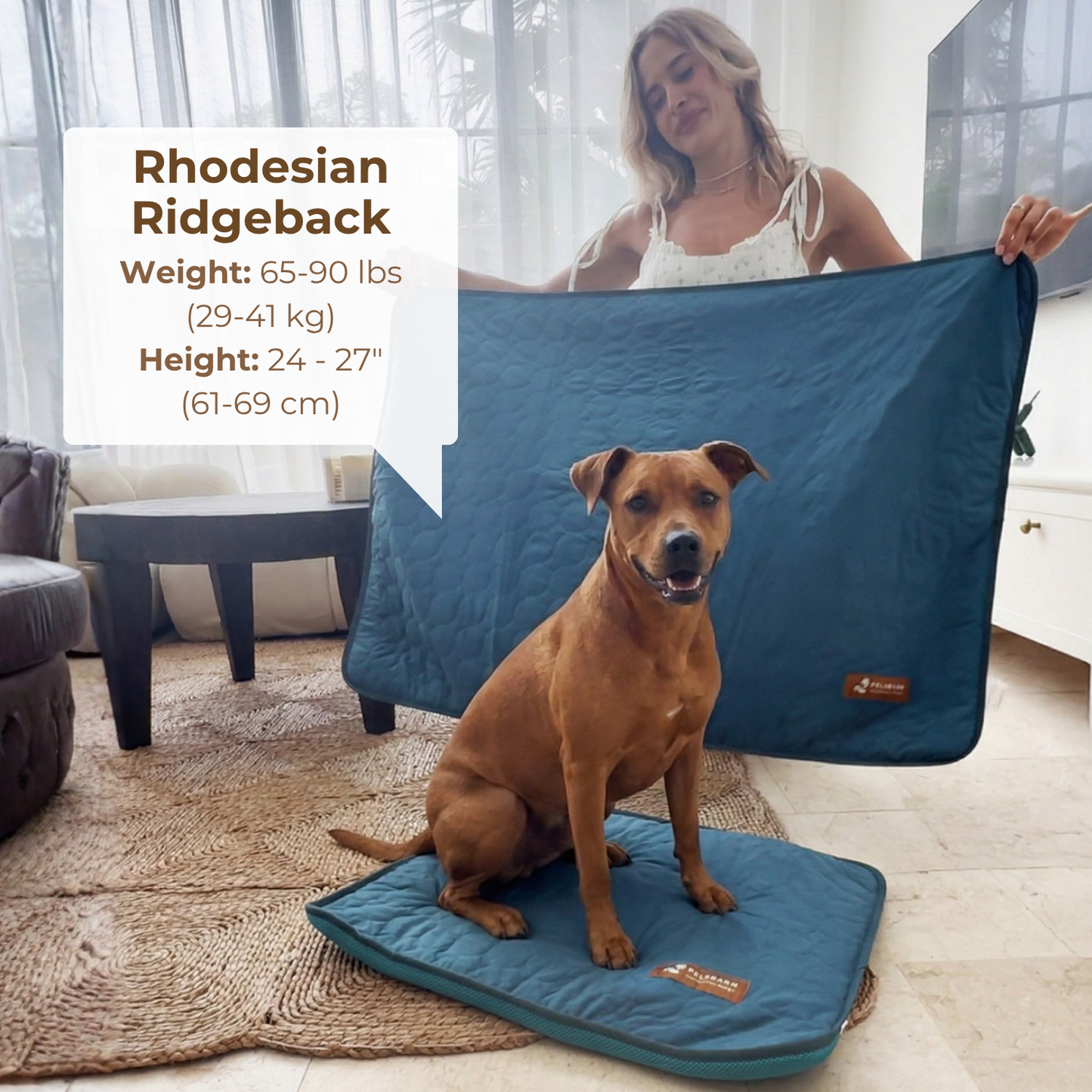 Pettiko ChillMat — Cooling Mat for Dogs