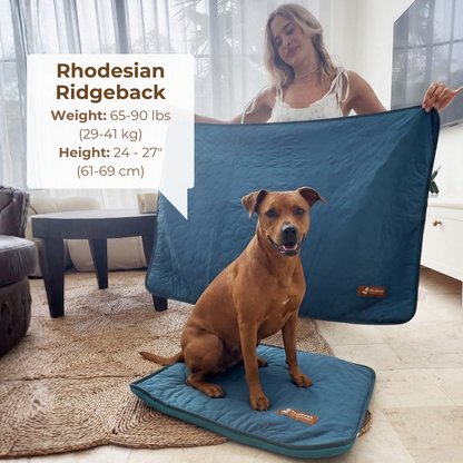 Pettiko ChillMat — Cooling Mat for Dogs