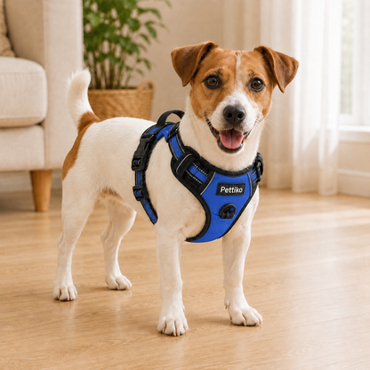 Pettiko No-Pull Dog Harness