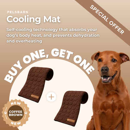 Pettiko ChillMat — Cooling Mat for Dogs