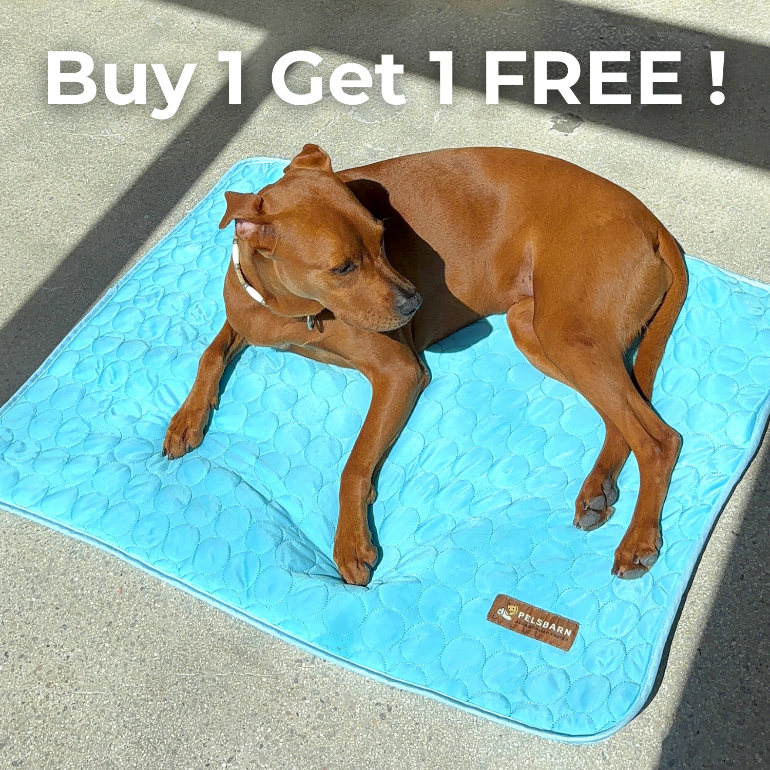 Pettiko ChillMat — Cooling Mat for Dogs