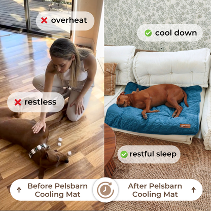 Pettiko ChillMat — Cooling Mat for Dogs