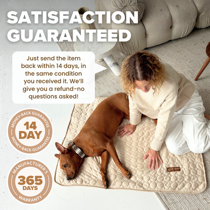 Pettiko ChillMat — Cooling Mat for Dogs