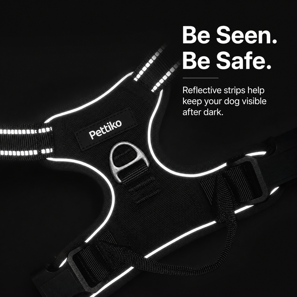 The front-clip leash guide on the Pettiko no-pull harness